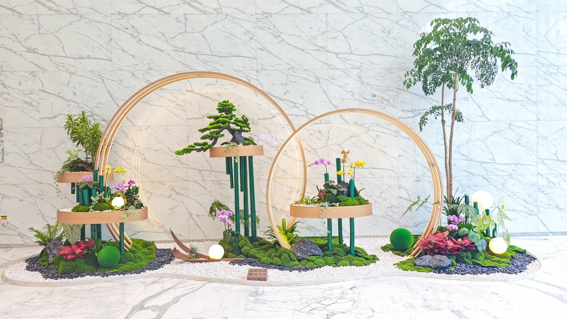 专业余姚盆景出租,装点空间的艺术之选